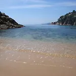 La Gaviota *