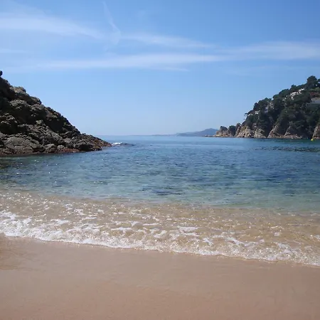 La Gaviota