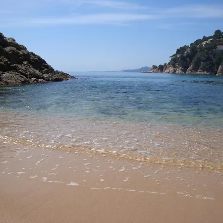 La Gaviota