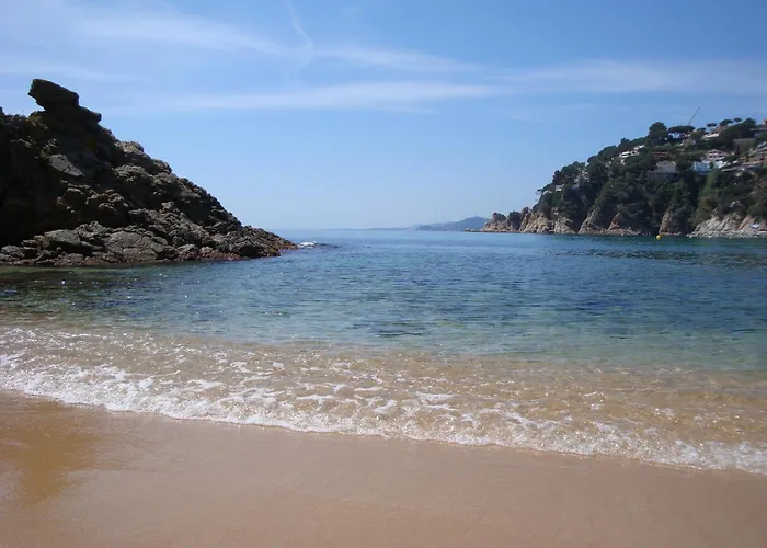 La Gaviota