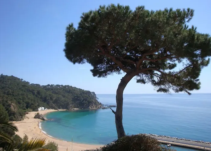 Villa La Gaviota Lloret de Mar